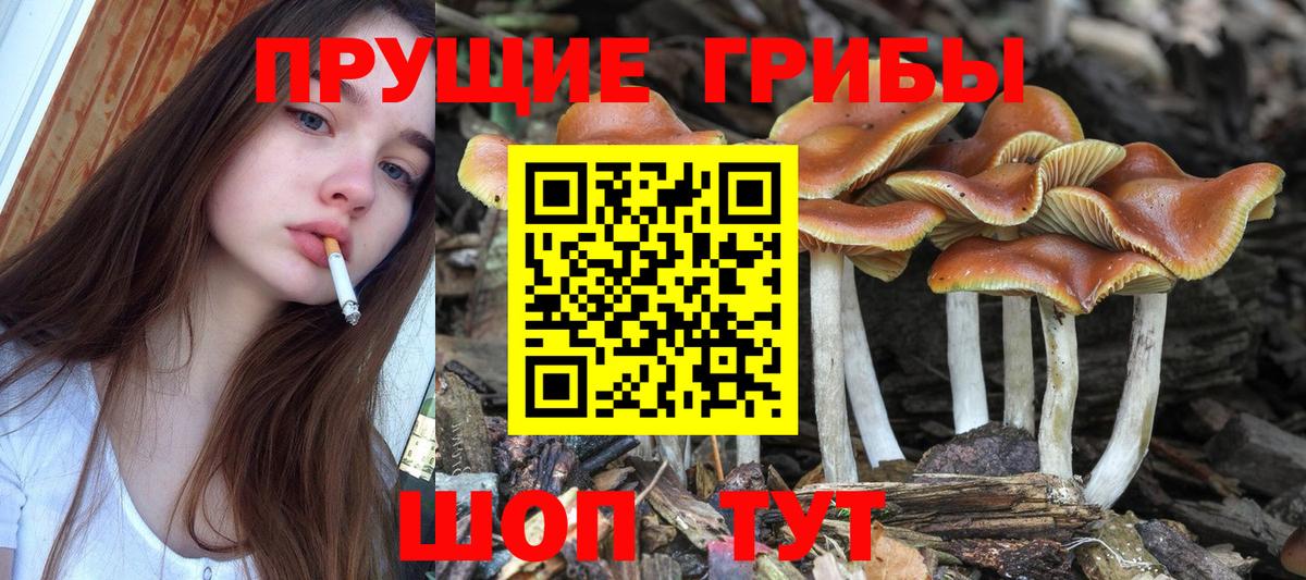 Унеча  Галлюциногенные грибы GOLDEN TEACHER  закладка  Вход с VPN 
